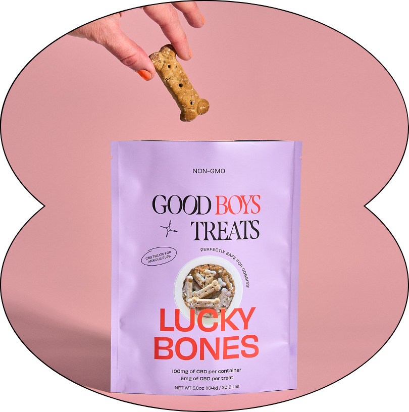 Good Boys Treats ATNN Design, Branding Design Studio